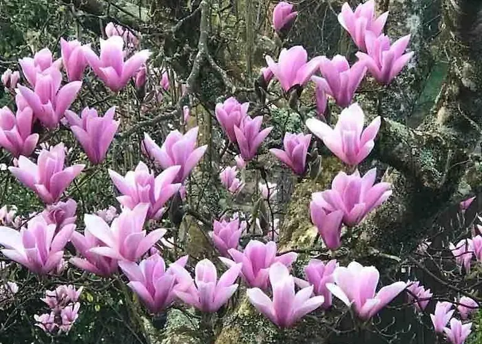 Beautiful 10p Normandy , Near St Vaast La Hougue Villa Le Vast