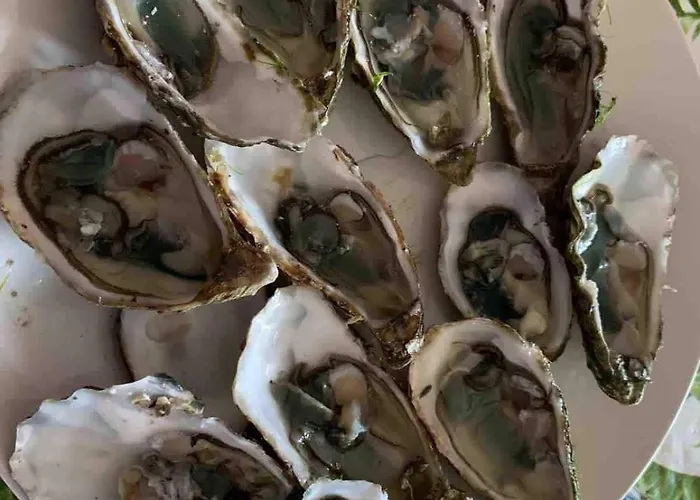 Beautiful 10p Normandy , Near St Vaast La Hougue Villa Le Vast