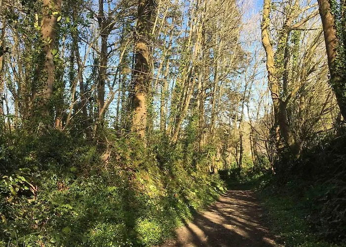 Beautiful 10p Normandy , Near St Vaast La Hougue Le Vast